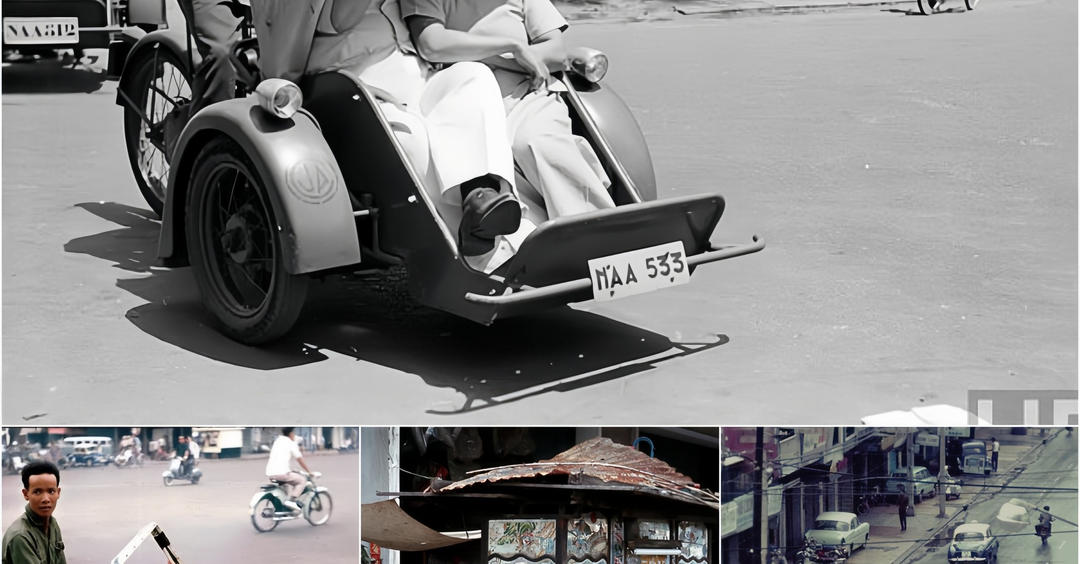 [🆕🇻🇳] FBaby Store – Thời Trang Trẻ Em Thiết Kế Cao Cấp 😎❤️️⭐️  QUẦN SOOC KAKI – Basic Item cần có trong tủ đồ của bé
Thiết kế quần dễ mặc, dễ phối , chất kaki mềm đứng form. Mẹ sắm cho bé đủ 3 màu mặc thay đổi không  , shares-0✔️ , likes-0❤️️ , date-2024-04-28 10:18:10🇻🇳🇻🇳🇻🇳📰🆕