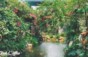 [☕️🇻🇳]  Minh Coffee 🥤 Top1Coffee ☕️ Cảm ơn Bà con đã ủng hộ Minh Coffee trong chuỗi 5 ngày lễ vừa qua, lại quay về với vẻ đẹp đơn giản, yên bình vốn có hàng ngày  1 , shares-0✔️ , likes-17❤️️ , date-2024-05-01 15:05:51🇻🇳🇻🇳🇻🇳📰🆕