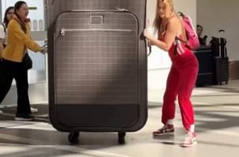 [🆕🇻🇳] IVY moda – Chuỗi thương hiệu thời trang công sở 👕 Top1Fashion 👗  Tôi trong chuyến du lịch 1 ngày 1 đêm và 1001 outfit
#IVYmoda #funfacts  #newlookbook #oceanjewels #congsohiendai #workwear #bu , shares-0✔️ , likes-0❤️️ , date-2024-04-16 14:00:31🇻🇳🇻🇳🇻🇳📰🆕