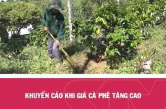 [☕️🇻🇳] ILOTA Coffee Roasters – Cafe rang xay 🥤 Top1Coffee ☕️  Thị trường Cà phê trong nước liên tục biến động – Giá cà phê nhân xanh tăng cao đặt mức kỷ lục: Niềm vui cho nông dân, nỗi lo c , shares-0✔️ , likes-4❤️️ , date-2024-05-06 12:30:13🇻🇳🇻🇳🇻🇳📰🆕