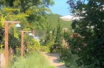 [☕️🇻🇳] Ngày của Nắng Coffee+ 🥤 Top1Coffee ☕️ Gửi bạn một buổi sáng mát mẻ ở Đà Lạt.  #ngaycuanang #dalat
, shares-0✔️ , likes-0❤️️ , date-2024-05-01 03:22:22🇻🇳🇻🇳🇻🇳📰🆕