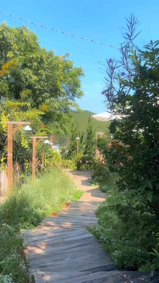 [☕️🇻🇳] Ngày của Nắng Coffee+ 🥤 Top1Coffee ☕️ Gửi bạn một buổi sáng mát mẻ ở Đà Lạt.  #ngaycuanang #dalat
, shares-0✔️ , likes-0❤️️ , date-2024-05-01 03:22:22🇻🇳🇻🇳🇻🇳📰🆕