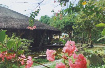 [☕️🇻🇳] CoCo’s Coffee 🥤 Top1Coffee ☕️ Góc nhỏ Coco’s
, shares-0✔️ , likes-17❤️️ , date-2024-04-26 04:53:37🇻🇳🇻🇳🇻🇳📰🆕