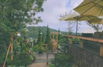 [☕️🇻🇳] Ngày của Nắng Coffee+ 🥤 Top1Coffee ☕️ Bình yên ngày của nắng
#ngaycuanangcoffee
, shares-0✔️ , likes-44❤️️ , date-2024-05-04 04:33:51🇻🇳🇻🇳🇻🇳📰🆕