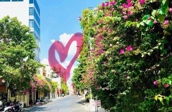 [🆕🇻🇳] An yoga – Phòng tập Yoga 🧘 Top1Yoga 🧘 Một ngày cuối tuần ở Tân Định,
Không đông đúc xe cộ như ngày thường, vỉa hè dường như cũng được rảnh rang hơn nên việc đi bộ cũng khiến mình dễ chịu hơn (t , shares-0✔️ , likes-20❤️️ , date-2024-04-21 03:16:47🇻🇳🇻🇳🇻🇳📰🆕