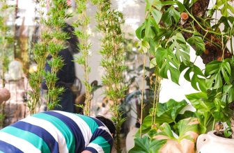 [☕️🇻🇳] Oromia Coffee – Lounge🥤 Top1Coffee ☕️ Mới sắm hàng trúc cho Lễ
, shares-0✔️ , likes-16❤️️ , date-2024-04-23 08:15:20🇻🇳🇻🇳🇻🇳📰🆕