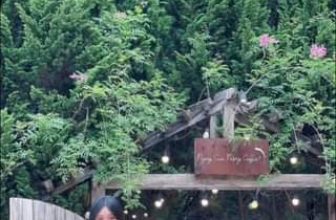 [☕️🇻🇳] Ngày của Nắng Coffee+ 🥤 Top1Coffee ☕️ Một chiếc video xinh xẻo đến từ feedback khách hàng #ngaycuanangcaffe+ #cafehoanghon
, shares-0✔️ , likes-0❤️️ , date-2024-05-05 03:19:01🇻🇳🇻🇳🇻🇳📰🆕