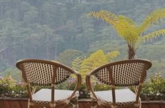 [☕️🇻🇳] Horizon Coffee – Đà Lạt 🥤 Top1Coffee ☕️ Ngồi view này mà nghe nhạc buồn nữa là đúng suy luôn á #dalat #reviewdalat #cafedalat #horizoncoffee
, shares-0✔️ , likes-20❤️️ , date-2024-05-02 05:57:07🇻🇳🇻🇳🇻🇳📰🆕