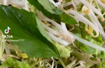 [☕️🇻🇳] Coffee Red 🥤 Top1Coffee ☕️ MỜI CẢ NHÀ  ĂN SÁNG CÙNG #RED NHÉ!!!!
số 5, đường 270, Đỗ Xuân Hợp, Phước Long A, TP Thủ Đức
0934626265
, shares-0✔️ , likes-5❤️️ , date-2024-04-19 00:23:08🇻🇳🇻🇳🇻🇳📰🆕