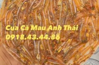 [🆕🇻🇳] Cua Cà Mau Anh Thái 🍔 Top1Food 🍜 Sự kết hợp giữa Hành và Ớt tạo ra một miếng CÁ CƠM BÁNH TRÁNG có mùi thơm đặc biệt lắm cả nhà!
Ai muốn thử thì nhắn em ngay nha, mẫu mới tinh tinh luôn!
, shares-0✔️ , likes-0❤️️ , date-2024-05-20 09:38:48🇻🇳🇻🇳🇻🇳📰🆕