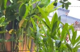 [☕️🇻🇳] Hello Coffee – Quán cà phê Internet Thành Phố Huế 🥤 Top1Coffee ☕️ “Hẹn nhau giữa tháng năm,
khi trời đang nắng hoá cơn mưa đầu mùa
Để cơn mưa tưới mát những lắng lo ngày bên nhau đón đưa…”  , shares-0✔️ , likes-17❤️️ , date-2024-05-04 13:02:19🇻🇳🇻🇳🇻🇳📰🆕