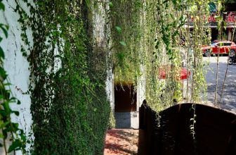 [☕️🇻🇳] ForDeer – Coffee with tree 🥤 Top1Coffee ☕️ 𝐓𝐡𝐚̉ 𝐦𝐢̀𝐧𝐡 𝐯𝐚̀𝐨 𝐑𝐮̛̀𝐧𝐠, 𝐭𝐡𝐮̛𝐨̛̉𝐧𝐠 𝐭𝐡𝐮̛́𝐜 𝐡𝐮̛𝐨̛𝐧𝐠 𝐯𝐢̣ 𝐜𝐮̉𝐚 “𝐧𝐚̆́𝐧𝐠”MUA 1 TẶNG 1 đồ uống trong BST Summer Vibes Sips từ 23/04 đế , shares-0✔️ , likes-29❤️️ , date-2024-04-27 02:07:14🇻🇳🇻🇳🇻🇳📰🆕