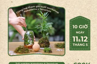 [☕️🇻🇳] ForDeer – Coffee with tree 🥤 Top1Coffee ☕️ [𝐖𝐨𝐫𝐤𝐬𝐡𝐨𝐩 𝐓𝐞𝐫𝐫𝐚𝐫𝐢𝐮𝐦 𝐱 𝐊𝐨𝐤𝐞𝐝𝐚𝐦𝐚] 𝐌𝐞̣ 𝐂𝐨𝐧 𝐌𝐢̀𝐧𝐡: 𝐌𝐨̣̂𝐭 𝐍𝐠𝐚̀𝐲 Đ𝐚̣̆𝐜 𝐁𝐢𝐞̣̂𝐭 𝐭𝐚̣𝐢 𝐓𝐫𝐨𝐩𝐢𝐜𝐚𝐥 𝐅𝐨𝐫𝐞𝐬𝐭Thời gian: 10h – 11h30, 11/5 & 12/ , shares-0✔️ , likes-16❤️️ , date-2024-05-07 03:00:07🇻🇳🇻🇳🇻🇳📰🆕