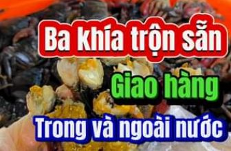 [🆕🇻🇳] BÀ NA FOOD – ĐẶC SẢN CÀ MAU 🍔 Top1Food 🍜 Ba khía lô hôm nay, hôm sau và mỗi ngày đều giống nhau. Chất lượng lên hàng đầu #bakhiatron #mambakhia #bakhiacamau #bakhiarachgoc
, shares-0✔️ , likes-9❤️️ , date-2024-05-22 23:17:13🇻🇳🇻🇳🇻🇳📰🆕