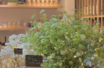 [☕️🇻🇳] Charm Coffee 🥤 Top1Coffee ☕️ Bình yên thật bình yên khi
Thảnh thơi ngồi nghĩ về ngày hôm qua
Không nặng lòng, không xót xa
Tịnh an như thể ta là nắng mai… , shares-0✔️ , likes-12❤️️ , date-2024-04-24 12:30:11🇻🇳🇻🇳🇻🇳📰🆕