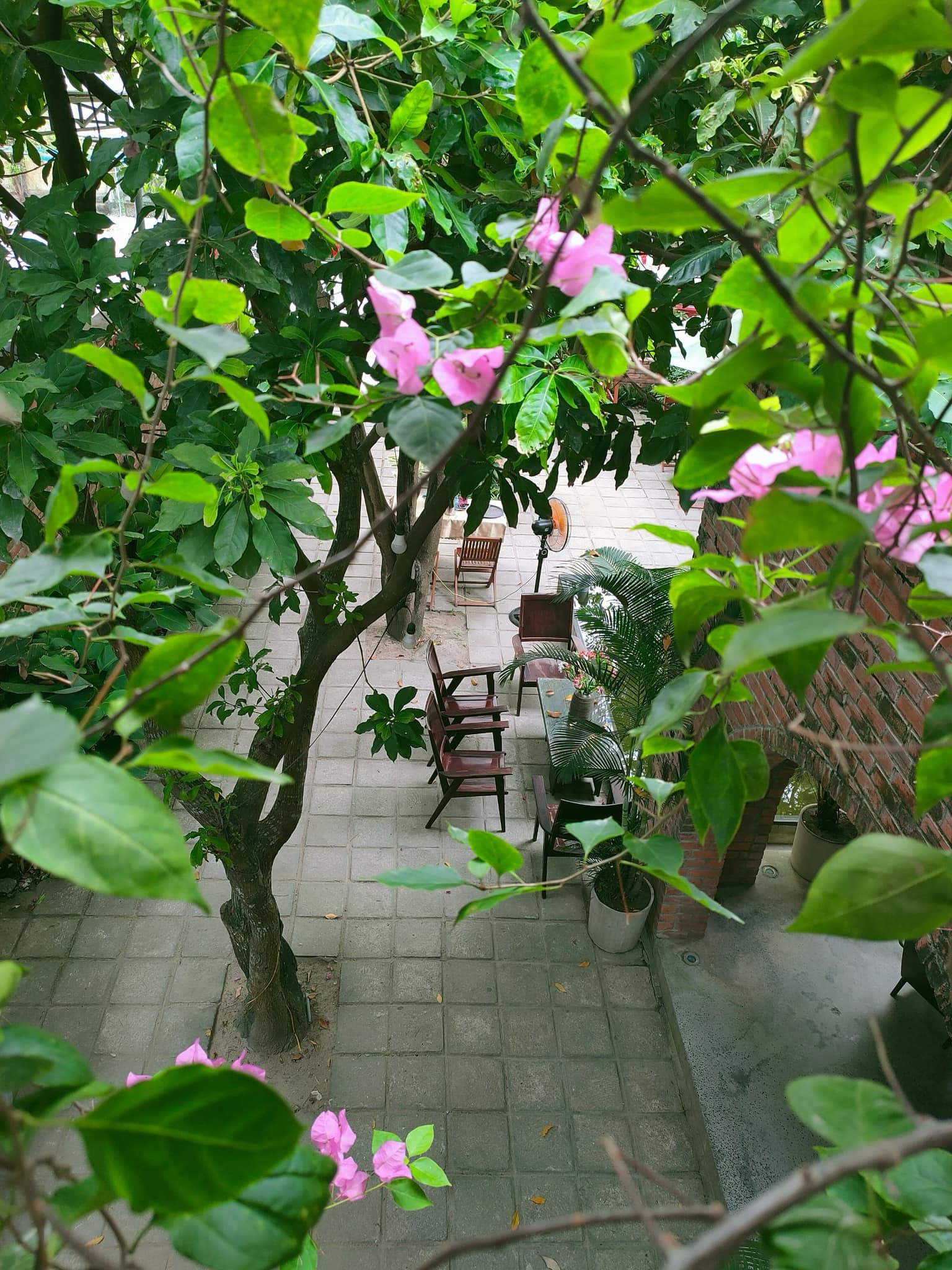 [☕️🇻🇳] Fcoffee 🥤 Top1Coffee ☕️ “Hãy thay đổi góc nhìn với những việc xảy ra ngoài ý muốn. Bạn sẽ thấy thêm yêu cuộc sống này hơn.” Tâm trạng một buổi sáng mát  , shares-0✔️ , likes-23❤️️ , date-2024-04-25 01:25:22🇻🇳🇻🇳🇻🇳📰🆕