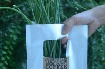 [☕️🇻🇳] PHD Book – Coffee 🥤 Top1Coffee ☕️ ở đây, mình tận dụng lại hầu hết túi (ni lông/ giấy), hủ… để dùng lại. cứ sạch sẽ là được. đây là túi cà phê ở quán, cắt ra lại  , shares-0✔️ , likes-0❤️️ , date-2024-04-19 07:16:05🇻🇳🇻🇳🇻🇳📰🆕