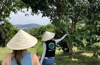 [☕️🇻🇳] Mê Linh Coffee Garden 🥤 Top1Coffee ☕️ Mỗi ngày bạn đều nhâm nhi một tách cà phêNhưng, bạn có biết hành trình tạo nên 1 ly cà phê sẽ trải qua những bước nào, làm sa , shares-1✔️ , likes-46❤️️ , date-2024-04-23 07:50:14🇻🇳🇻🇳🇻🇳📰🆕