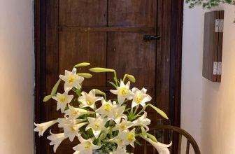 [☕️🇻🇳] Charm Coffee 🥤 Top1Coffee ☕️ Nhà em ngay dưới chân đồi, chiếc ghế chưa có ai ngồi
Charm Coffee : ngõ 20 Láng Hạ, Đống Đa,HN
Opening hours: 07 am- 22h0 , shares-0✔️ , likes-13❤️️ , date-2024-04-21 07:40:32🇻🇳🇻🇳🇻🇳📰🆕