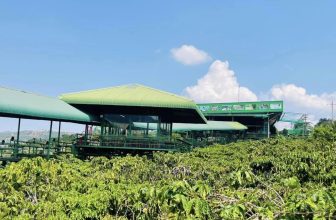 [☕️🇻🇳] Mê Linh Coffee Garden 🥤 Top1Coffee ☕️ Có những bạn đến với Đà Lạt, mải mê trong vẻ đẹp yên bình của thiên nhiên xanh mát, rồi trót say, trót yêu… để rồi khi rời đi  , shares-7✔️ , likes-52❤️️ , date-2024-04-27 01:54:32🇻🇳🇻🇳🇻🇳📰🆕