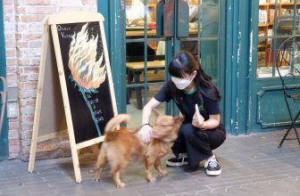 [☕️🇻🇳] Nhã Nam Books N’ Coffee 🥤 Top1Coffee ☕️ Công việc ở Hiệu sách cũng không có gì vất vả, nhưng khó nhất là lấy được nét của Vừng mỗi khi em quá khích.  * Admin xỉa: “Đã v , shares-0✔️ , likes-72❤️️ , date-2024-04-26 07:44:36🇻🇳🇻🇳🇻🇳📰🆕