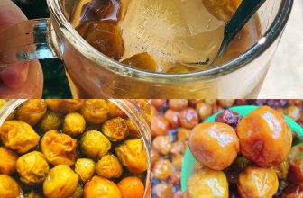 [☕️🇻🇳] Coffee TALK 🥤 Top1Coffee ☕️ MÃi vẫn chưa giao hết đơn mơ, mơ màng thỉnh thoảng khách cứ nhắn ” quên ship cho anh/em/chị à ”  lại giật bắn thon thót, đơn ai  , shares-0✔️ , likes-1❤️️ , date-2024-05-04 07:19:48🇻🇳🇻🇳🇻🇳📰🆕