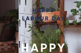 [☕️🇻🇳] Navido Coffee 🥤 Top1Coffee ☕️ .
Today, we honor all workers who keep the world running. Happy Labour Day!#navido #bieton #xincamon #navidostaff
#phumyhung , shares-1✔️ , likes-0❤️️ , date-2024-05-01 08:02:47🇻🇳🇻🇳🇻🇳📰🆕