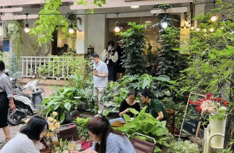 [☕️🇻🇳] Charm Coffee 🥤 Top1Coffee ☕️ Mỗi góc nhỏ đều được chúng mình điểm chút hoa xinh xinh
Hy vọng cậu ngồi ngắm những bông hoa này sẽ thấy tươi mới và dễ chịu…
C , shares-0✔️ , likes-18❤️️ , date-2024-05-03 06:58:15🇻🇳🇻🇳🇻🇳📰🆕