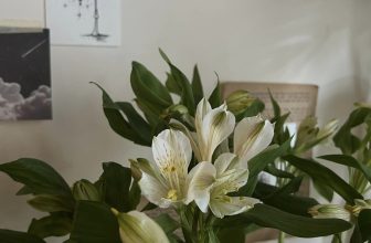 [☕️🇻🇳] Deadline Coffee 🥤 Top1Coffee ☕️ “Dù con đường phía trước có lầy lội, tôi tin rằng mình sẽ thu hoạch được một biển hoa rực rỡ.”
———————————————
D̶E̶A̶D̶L̶I̶N̶E , shares-1✔️ , likes-13❤️️ , date-2024-05-12 08:24:39🇻🇳🇻🇳🇻🇳📰🆕