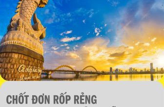 [🆕🇻🇳] Adidas Việt Nam 👕 Top1Fashion 👗  CHỐT ĐƠN RỐP RẺNG, BAO TRỌN KỲ NGHỈ ĐÀ NẴNGHè nắng nóng, khó tìm nơi giải phóng năng lượng? Có adidas bao trọn gói nghỉ dưỡng tại Đà Nẵng:Vé máy bay kh , shares-0✔️ , likes-34❤️️ , date-2024-04-30 06:00:50🇻🇳🇻🇳🇻🇳📰🆕