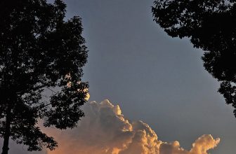 [☕️🇻🇳] 𝐋𝐚 𝐑𝐞̂𝐯𝐞𝐮𝐬𝐞🥤 Top1Coffee ☕️ – một chữ thương thôi
mình thương mãi không thành
#mơ
, shares-6✔️ , likes-231❤️️ , date-2024-05-01 11:39:46🇻🇳🇻🇳🇻🇳📰🆕