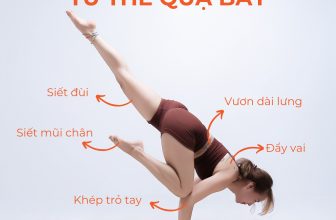 [🆕🇻🇳] Yogi Xuân 🧘 Top1Yoga 🧘 Bật mí bí kíp chinh phục các tư thế Yoga dễ dàng – hiệu quả!
YogiXuân.Vlog
#yoga #yogixuan #rajayoga #baitaptainha #yogaforlife
, shares-121✔️ , likes-840❤️️ , date-2024-05-15 02:00:18🇻🇳🇻🇳🇻🇳📰🆕