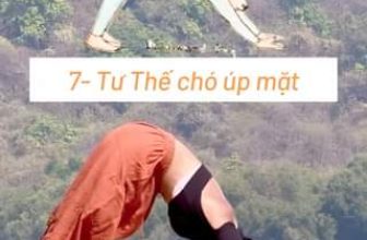 [🆕🇻🇳] Nguyễn Hiếu Yoga🧘 Top1Yoga 🧘 Những động tác yoga được lấy cảm hứng từ động vật. Các bạn chinh phục được hết các tư thế này chứ?  #yoga #tambooksyoga
, shares-0✔️ , likes-482❤️️ , date-2024-05-11 14:00:08🇻🇳🇻🇳🇻🇳📰🆕