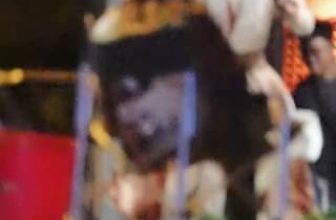 [🆕🇻🇳] 361º Viet Nam – Thương hiệu thời trang thể thao quốc tế👕 Top1Fashion 👗  TIẾP TỤC LÀ – CHEAP MOMENT VỚI NGAO THỤY BẰNG FANS ƠIII   Bắt gặp chàng Đại sứ thương hiệu Ngao Thụy Bằng vui vẻ tan làm trong outfit áo và mũ từ nhà 361º  , shares-0✔️ , likes-0❤️️ , date-2024-05-07 07:37:59🇻🇳🇻🇳🇻🇳📰🆕