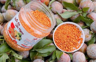 [🆕🇻🇳] Muối Ớt Siêu Ngon 🍔 Top1Food 🍜 Mùa mận bắc tới rồi khách yêu ơi
, shares-0✔️ , likes-13❤️️ , date-2024-05-17 02:42:26🇻🇳🇻🇳🇻🇳📰🆕