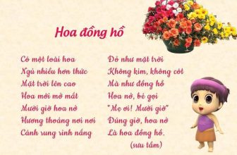 [🧸️🇻🇳] MUKI Sản phẩm chất lượng cho bé – Tiệm sách và Đồ chơi 📚 Top1Toys 🧸️   , shares-2✔️ , likes-4❤️️ , date-2024-05-17 14:53:09🇻🇳🇻🇳🇻🇳📰🆕