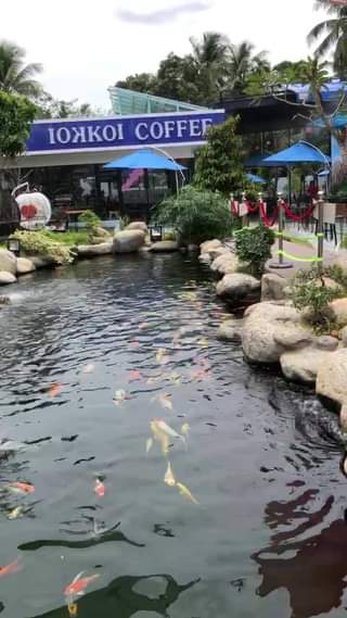 [☕️🇻🇳] Iokkoi Coffee – Zen Garden 🥤 Top1Coffee ☕️  , shares-0✔️ , likes-52❤️️ , date-2019-03-23 04:47:45🇻🇳🇻🇳🇻🇳📰🆕