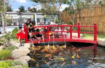 [☕️🇻🇳] Iokkoi Coffee – Zen Garden 🥤 Top1Coffee ☕️ Các khách hàng, từ các em nhỏ tới bà cụ 94 tuổi, đều có những trải nghiệm thú vị cho riêng mình tại IOKKOI Coffee – Zen Garden
, shares-9✔️ , likes-68❤️️ , date-2019-03-24 06:15:04🇻🇳🇻🇳🇻🇳📰🆕