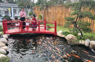 [☕️🇻🇳] Iokkoi Coffee – Zen Garden 🥤 Top1Coffee ☕️ *English below*Những lí do các bạn nên đến IOKKOI Coffee – Zen Garden ngay hôm nay – số 1:
Các trẻ nhỏ khi đến đây sẽ cực kì t , shares-0✔️ , likes-64❤️️ , date-2019-03-28 01:00:07🇻🇳🇻🇳🇻🇳📰🆕