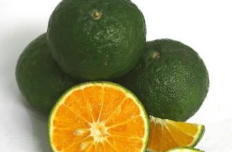 [☕️🇻🇳] Fcoffee 🥤 Top1Coffee ☕️ MỘT LY NƯỚC CAM BẰNG MƯỜI THANG THUỐC BỔ
Nắng nóng như này mà có ly nước cam nhâm nhi thì còn gì bằng. Không chỉ mát lạnh giả , shares-0✔️ , likes-1❤️️ , date-2019-06-24 07:22:14🇻🇳🇻🇳🇻🇳📰🆕