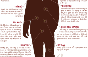 [☕️🇻🇳] Gia Cát Coffee – Cung cấp cây cảnh, nhận sét up cây cảnh cho quán cafe 🥤 Top1Coffee ☕️ Bạn đã biết đến những LỢI ÍCH mà CAFE mang lại chưa?
#GIA_CÁT_COFFEE
#Loiichcafe
, shares-1✔️ , likes-14❤️️ , date-2019-07-27 00:30:00🇻🇳🇻🇳🇻🇳📰🆕