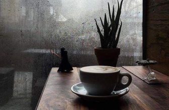 [☕️🇻🇳] Navido Coffee 🥤 Top1Coffee ☕️ Bên anh đã tạnh chưa?!
Trời bên em vẫn mưa…
Anh đã có yêu thêm ai nữa?!
Em thì vẫn chưa…
#rainyday #navidocoffee
#ho , shares-1✔️ , likes-6❤️️ , date-2019-09-21 09:48:40🇻🇳🇻🇳🇻🇳📰🆕