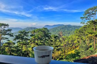 [☕️🇻🇳] Coffee Bùi Văn Ngọ – Đà Lạt 🥤 Top1Coffee ☕️ “Thanh xuân như một tách trà”
Bùi Văn Ngọ Coffee “đu” theo trend “thanh xuân” của “Về Nhà Đi Con”, chúc khách hàng của mình cuố , shares-0✔️ , likes-3❤️️ , date-2019-10-26 09:13:35🇻🇳🇻🇳🇻🇳📰🆕