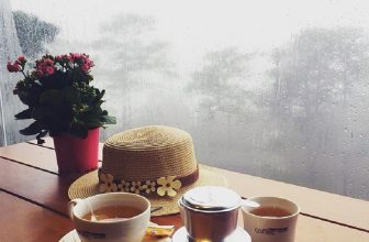[☕️🇻🇳] Coffee Bùi Văn Ngọ – Đà Lạt 🥤 Top1Coffee ☕️ Tưởng chỉ cần đưa tay đã có thể chạm vào những hạt mưa. Tưởng thật lạnh lẽo nhưng vô cùng ấm cúng. Những cảm giác thú vị này là  , shares-2✔️ , likes-7❤️️ , date-2019-11-11 03:09:57🇻🇳🇻🇳🇻🇳📰🆕