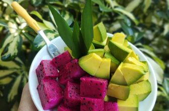 [☕️🇻🇳] Cà phê Ngọc Hà- Cafe sân vườn 🥤 Top1Coffee ☕️ Cafe Ngọc Hà chúc quý khách cuối tuần thư giãn vui vẻ và may mắn
, shares-1✔️ , likes-15❤️️ , date-2019-11-16 23:50:32🇻🇳🇻🇳🇻🇳📰🆕