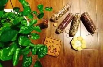 [☕️🇻🇳] ĐEN ROASTER Coffee – Tea 🥤 Top1Coffee ☕️  , shares-0✔️ , likes-12❤️️ , date-2020-07-01 01:25:34🇻🇳🇻🇳🇻🇳📰🆕