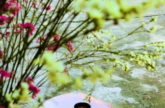 [☕️🇻🇳] ĐEN ROASTER Coffee – Tea 🥤 Top1Coffee ☕️ Cốc cà phê là sản phẩm cuối của một hành trình dài – từ đất đai, người trồng cho đến nhà rang xay, rồi đến đôi tay chờ đợi háo h , shares-0✔️ , likes-16❤️️ , date-2020-06-16 03:11:45🇻🇳🇻🇳🇻🇳📰🆕