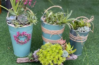 [☕️🇻🇳] Heaven H Coffee 🥤 Top1Coffee ☕️ QUÀ TẶNG BẤT NGỜ 8/3-14/03
Heaven H chỉ Set Duy nhất 1 lần trong nămCHECKIN TẠI QUÁN LÀ ĐƯỢC TẶNG 2 cốc trà hoa quả FREE  , shares-0✔️ , likes-12❤️️ , date-2020-03-08 03:34:37🇻🇳🇻🇳🇻🇳📰🆕