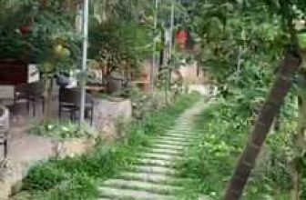 [☕️🇻🇳] Garden Coffee – Tea Thanh Sơn 🥤 Top1Coffee ☕️ Thời tiết và tăng phúc
, shares-0✔️ , likes-51❤️️ , date-2020-04-20 05:53:20🇻🇳🇻🇳🇻🇳📰🆕