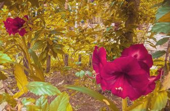 [☕️🇻🇳] Garden Coffee – Tea Thanh Sơn 🥤 Top1Coffee ☕️  Ae nghỉ lễ có đi chơi đâu ko ạ! Nếu có mọi người vào khoe ảnh đi chơi vs page nào
Nếu ko thì đến Garden để mình hẹn hò đò đưa  , shares-0✔️ , likes-56❤️️ , date-2020-04-30 11:10:41🇻🇳🇻🇳🇻🇳📰🆕